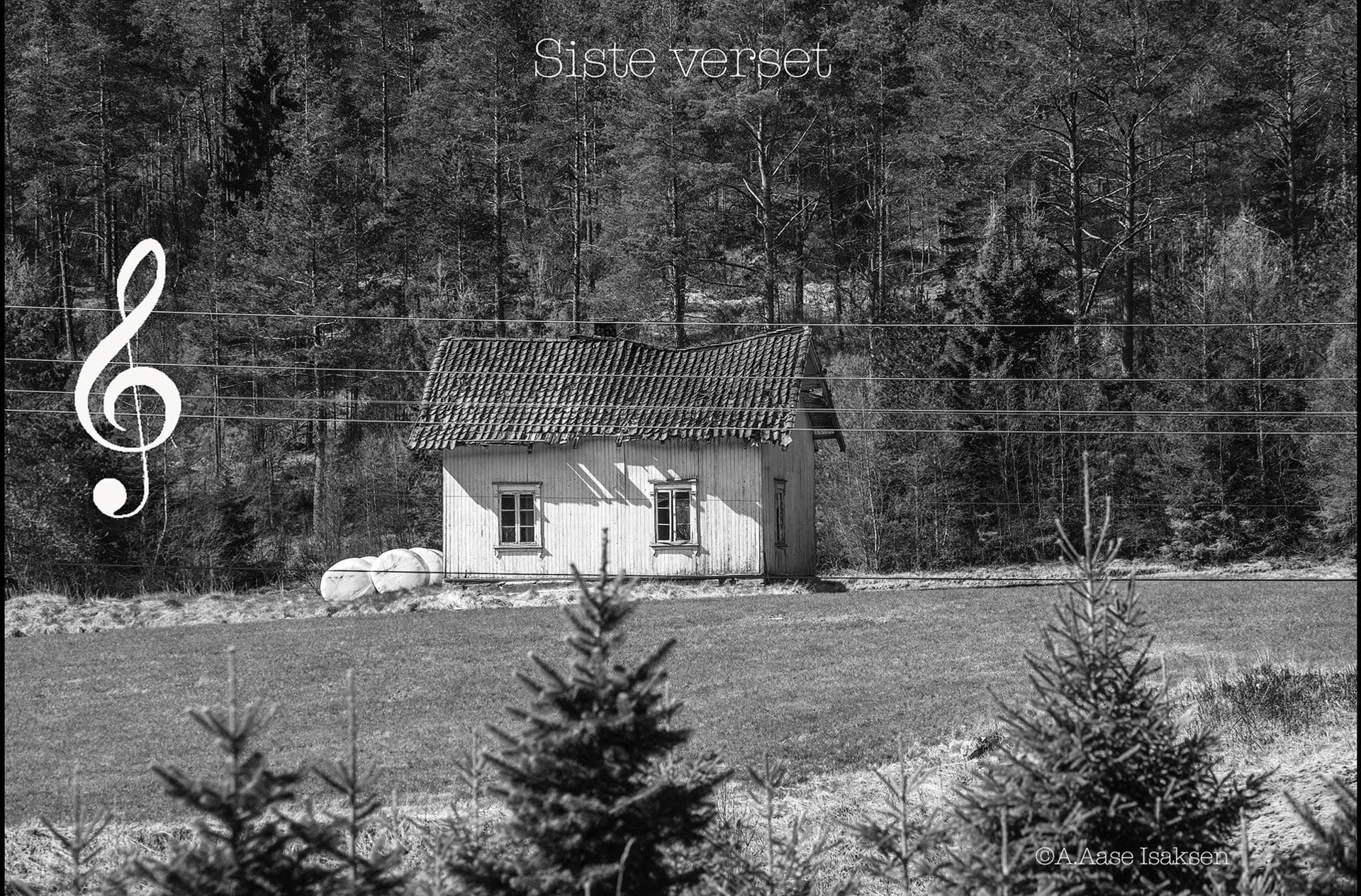 Husmannsplasser - oversikt.